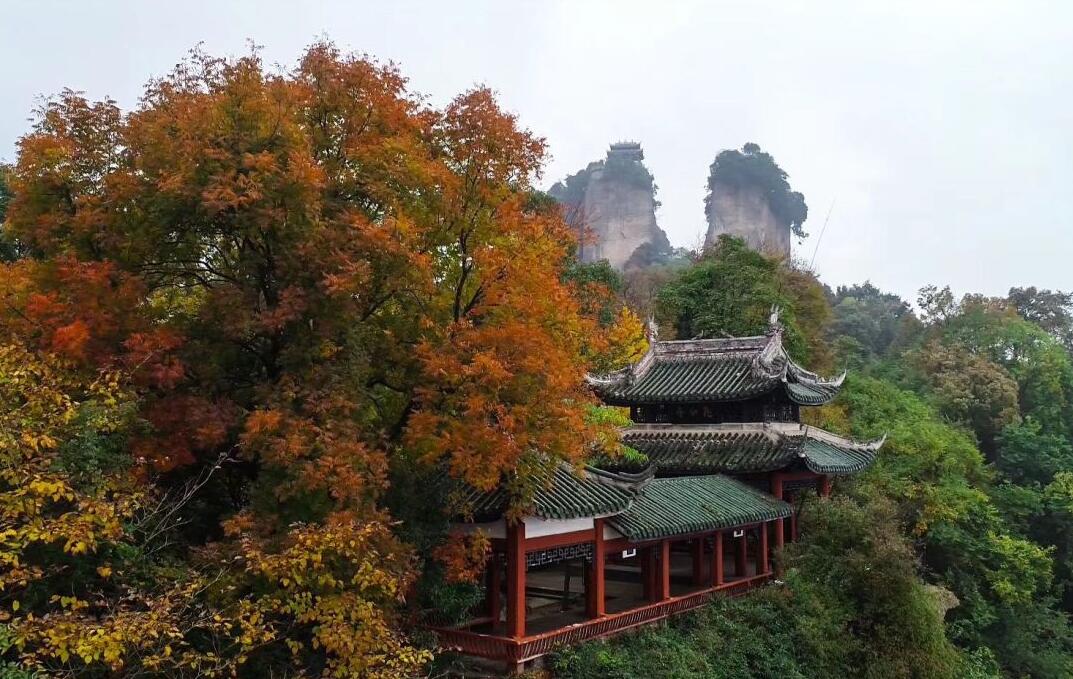 @所有女士，陽春三月竇圌山景區邀您免費來踏春賞花！