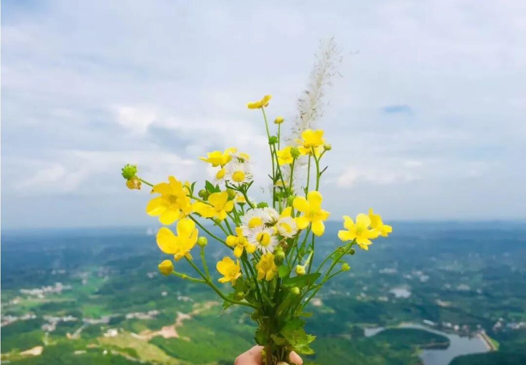 等春來，我們好好擁抱！致敬最美